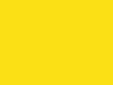 Canary Yellow Color Chip